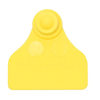 700-2000-653-F28-sxima-a-enotio-aigoprovaton-3