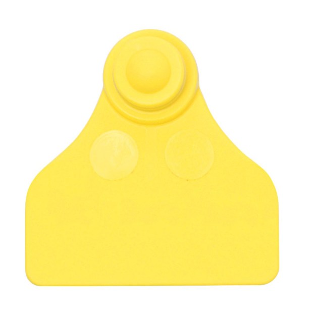700-2000-653-F28-sxima-a-enotio-aigoprovaton-3