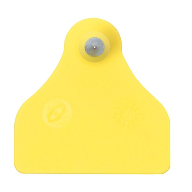 700-2000-653-F28-sxima-a-enotio-aigoprovaton-4