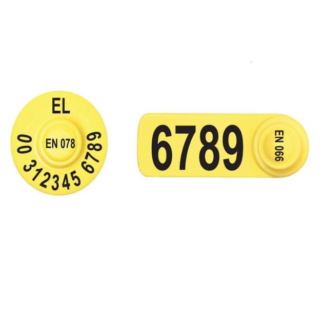 770-0401-413B-F20-F2S-FDX-B-set-hlektroniko-sximab-enotio-aigoprovaton-2
